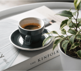 写真:本の上にコーヒーが乗っています。横には観葉植物が有ります