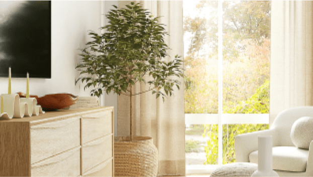 写真：白とベージュを基準とした家具が配置されてる部屋写真の観葉植物と窓辺が切り取られています。