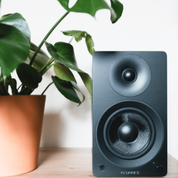 写真：黒のスピーカーと観葉植物が一緒に写っています